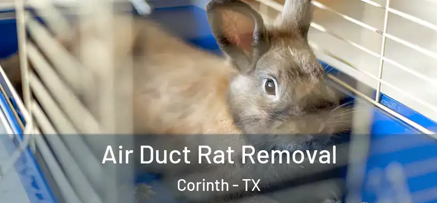  Air Duct Rat Removal Corinth - TX