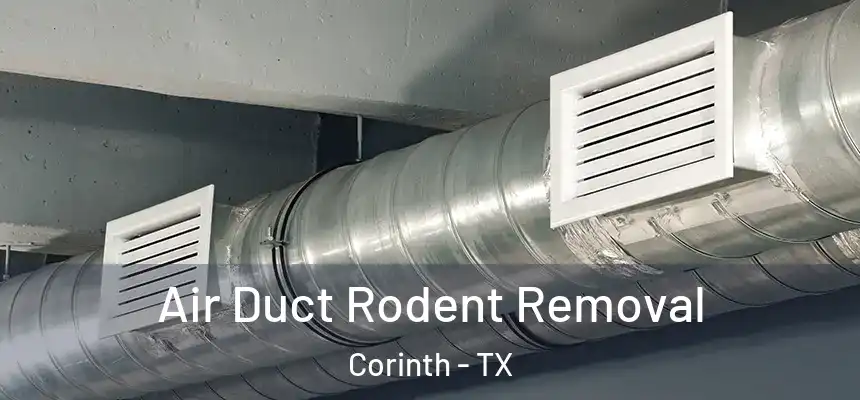  Air Duct Rodent Removal Corinth - TX