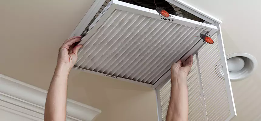 Preventive Cockroach-Proofing for Ducts in Corinth
