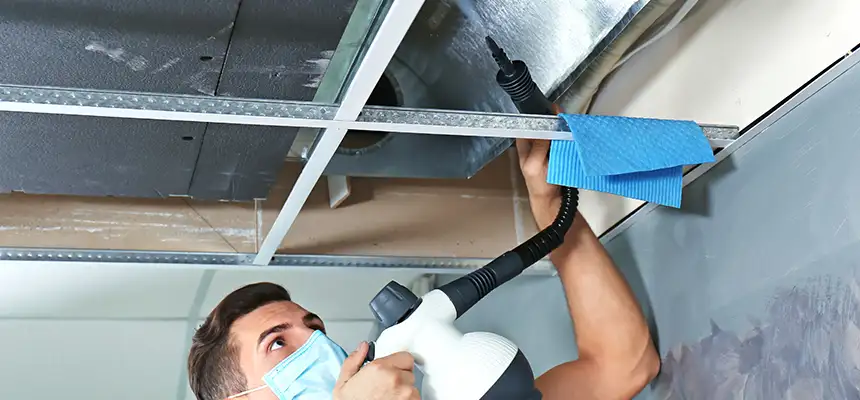 Our Air Duct Rodent Removal Services in Corinth, TX