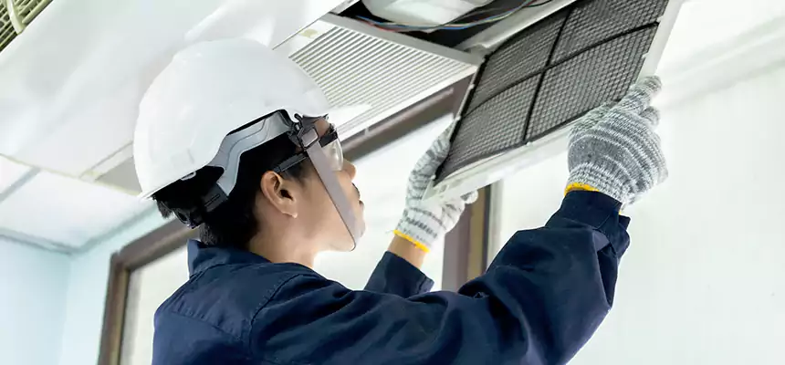 Our Mold & Mildew Removal from Air Ducts Services in Corinth, TX