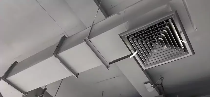 Our Pest Removal From Ducts Services in Corinth, TX