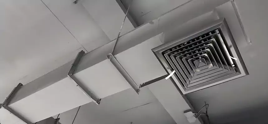 Our Rodent Droppings In Vents Services in Corinth, TX