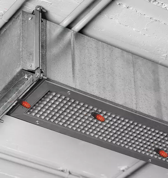 About Air Duct Cockroach Removal in Corinth, TX