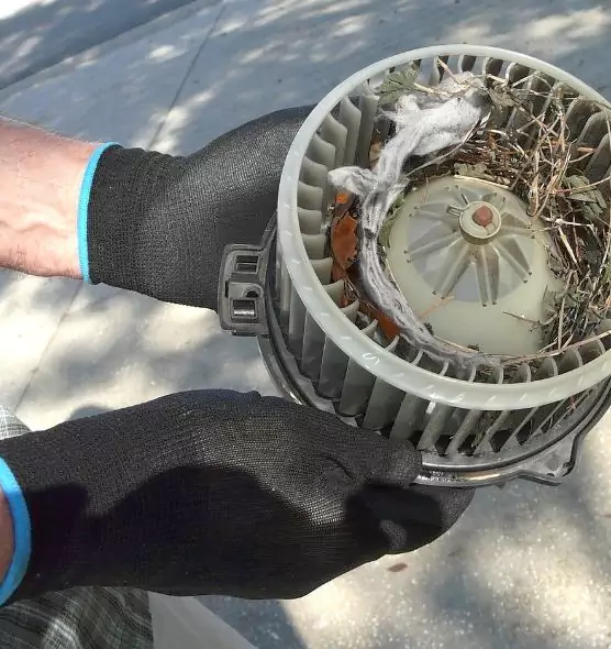 About Air Duct Rat Removal in Corinth, TX